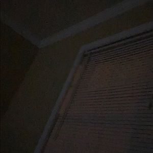 Meet your Posher, Lyndon